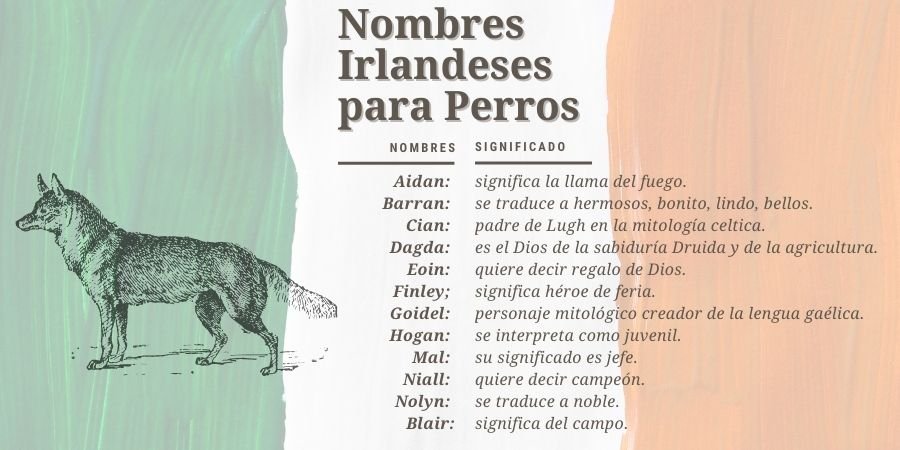 Nombres para perritos y mascotas