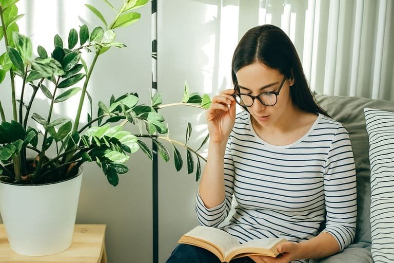Alojamiento y cursos de inglés en Irlanda para estudiantes internacionales