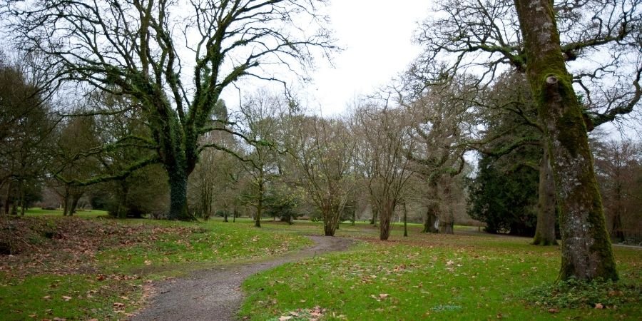 Castillo y jardines de Blarney